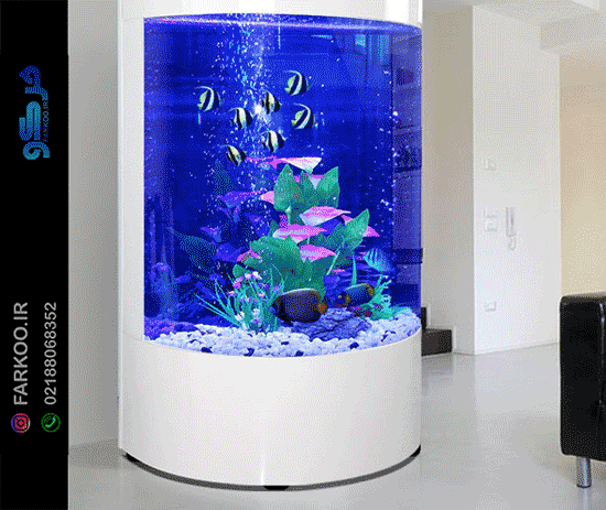آکواریوم شیشه‌ای خم