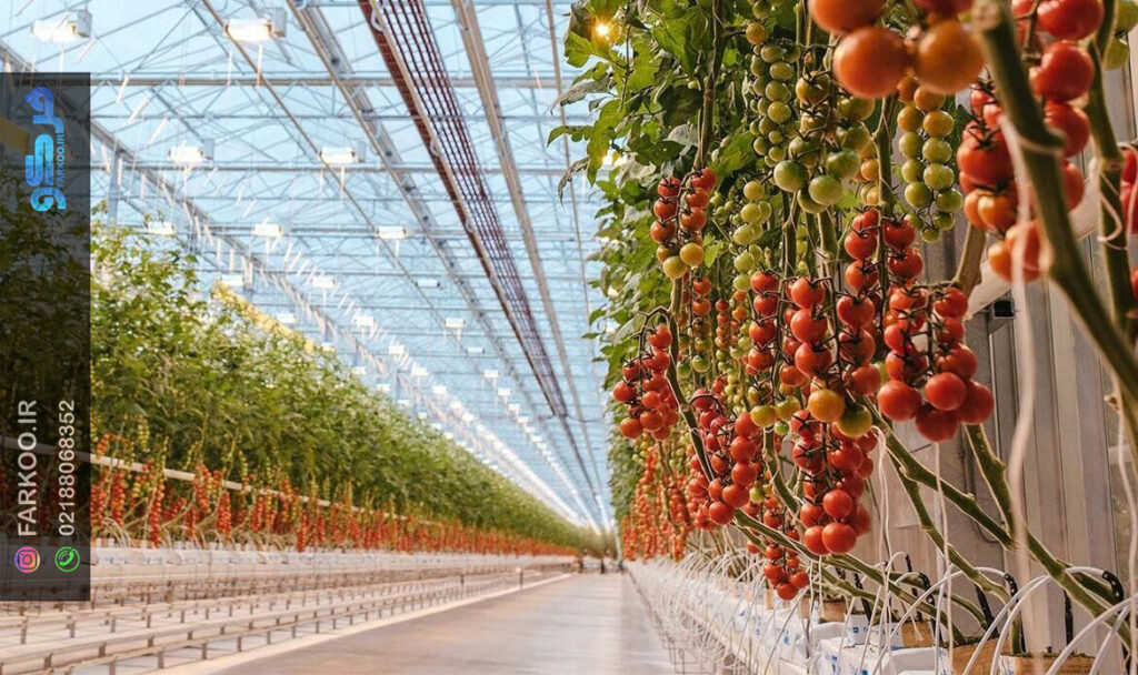 گلخانه شیشه‌ای