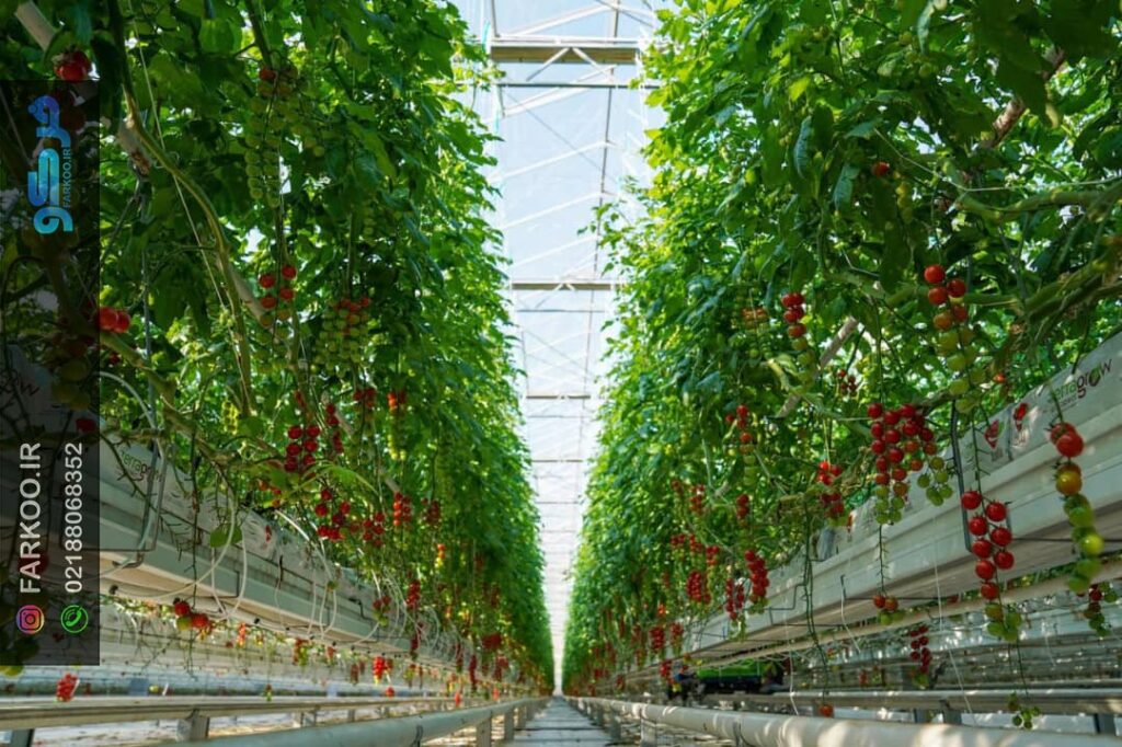 گلخانه شیشه‌ای صنعتی